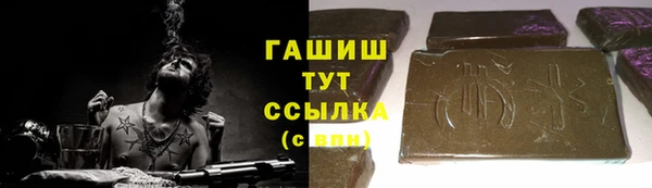 хмурый Арсеньев